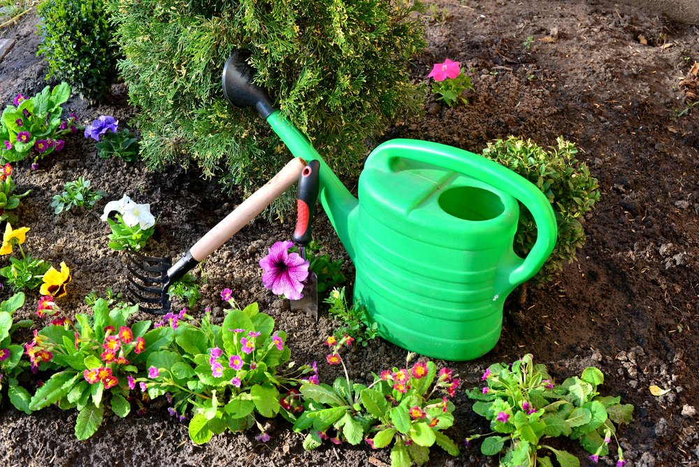 A two gallon bright green ergonomic watering can sets in a blooming flower garden.