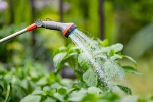 Wizard Waterin': 5 Top Watering Wands Close up of a gray watering wand accented with orange and blue parts, flows above herb plants.