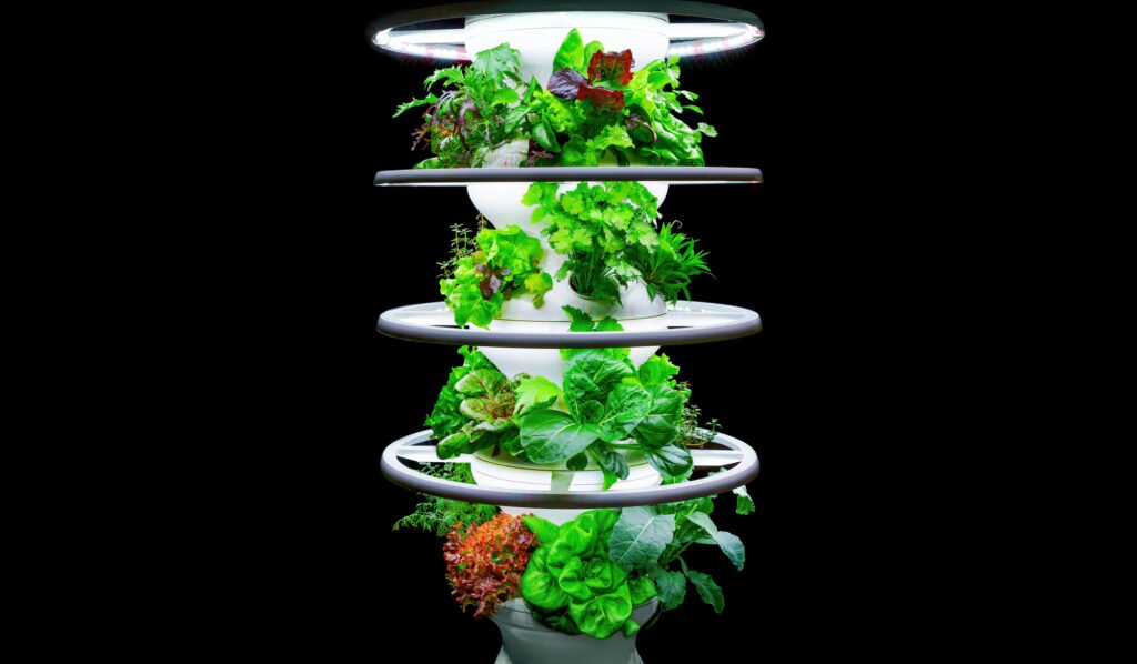 Illuminated sprouting vertical aeroponic tower with black background.
