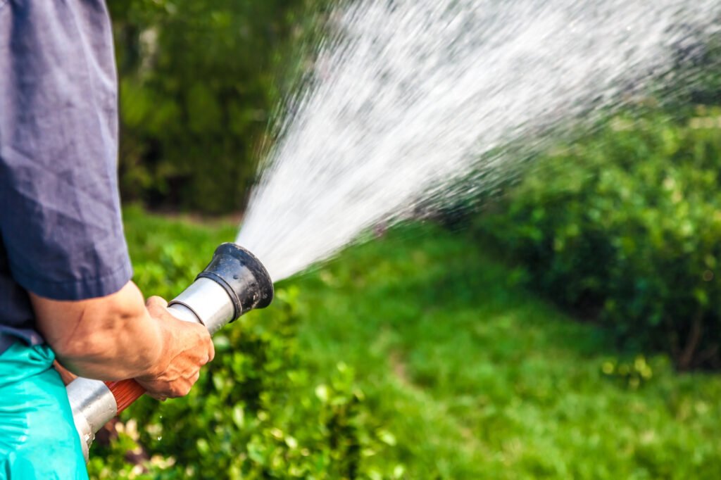 A man sprays shrubbery with a firemans style hose nozzle