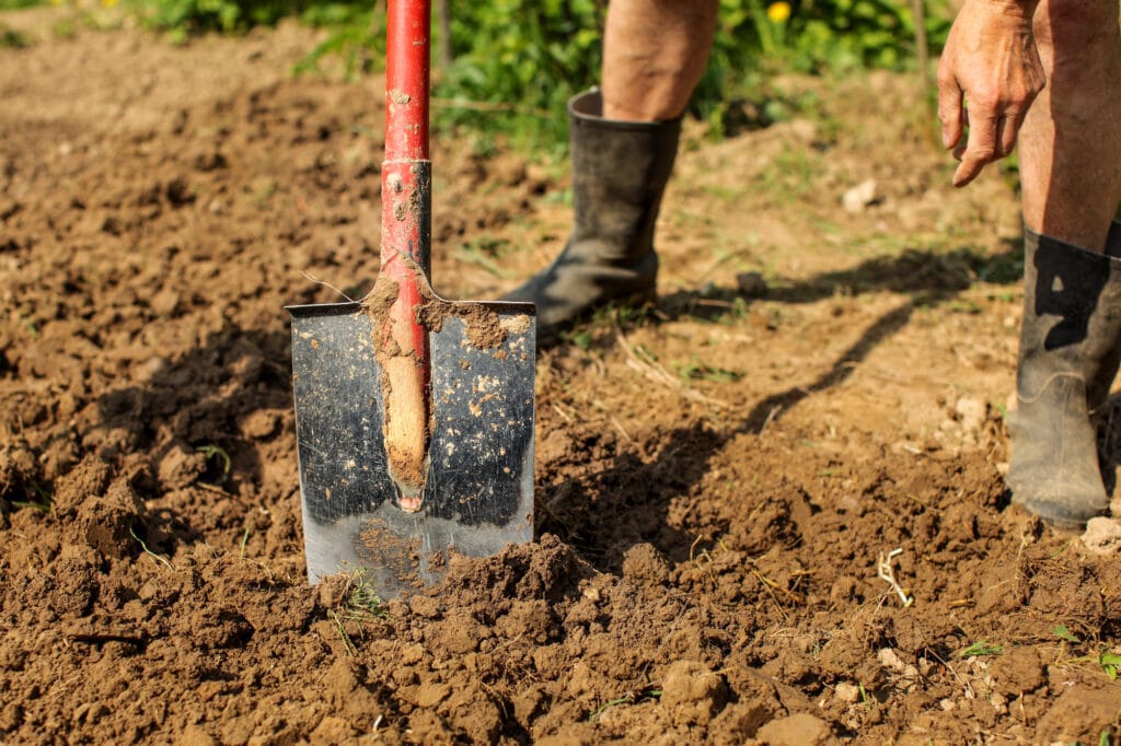 A middle aged man leans to peer down at spade worked soil.