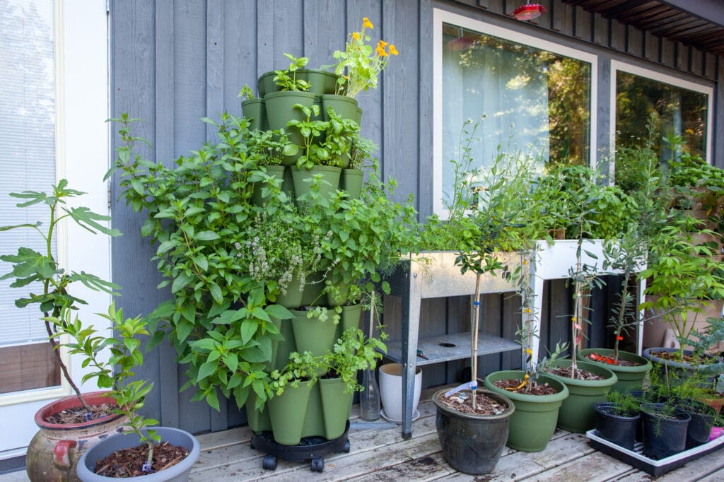 A green foliage covered vertical soil grow tower sets on a deck among plant pots and raised planters.