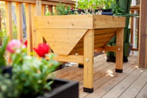 Elevated, wheelchair accessible, wooden raised garden bed on a deck with sprouting herbs.