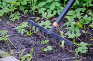 A combisystem garden rake scrapes across weedy soil
