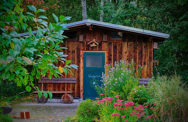 A tidy but rustic wooden garden shed with a dark blue door stands behind a maintained garden of blooming native perennials