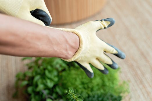 Gardener puts on cream colored gardening gloves with the palms coated in black nitrile.